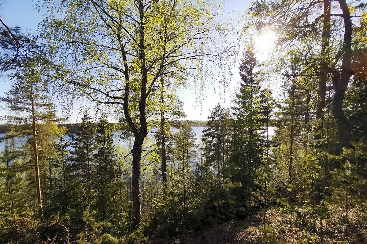 Kulennoisjärvelle komeat maisemat harjun päältä