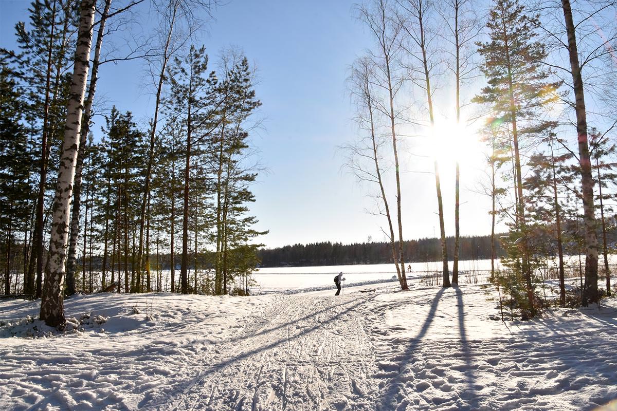 Valkialammelle mennään pienen kangaksen yli